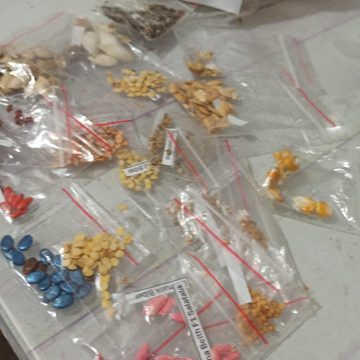 Tohum paylaşım etkinliğinden paketler