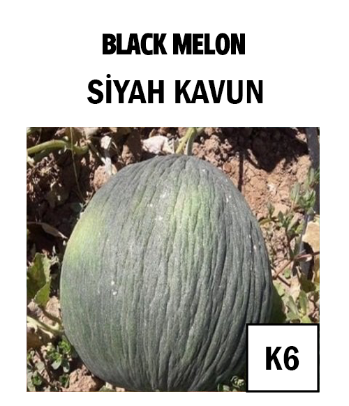 Siyah Kavun - AdaFide