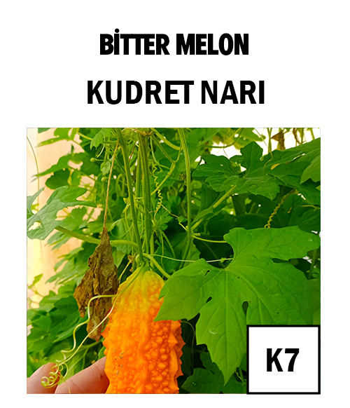 Kudret Narı - AdaFide