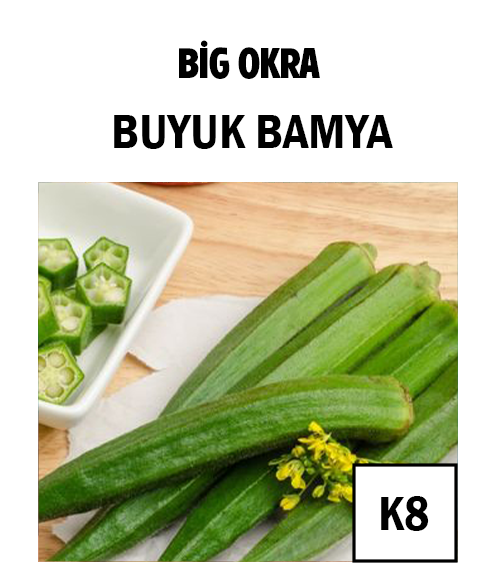 Büyük Bamya - AdaFide