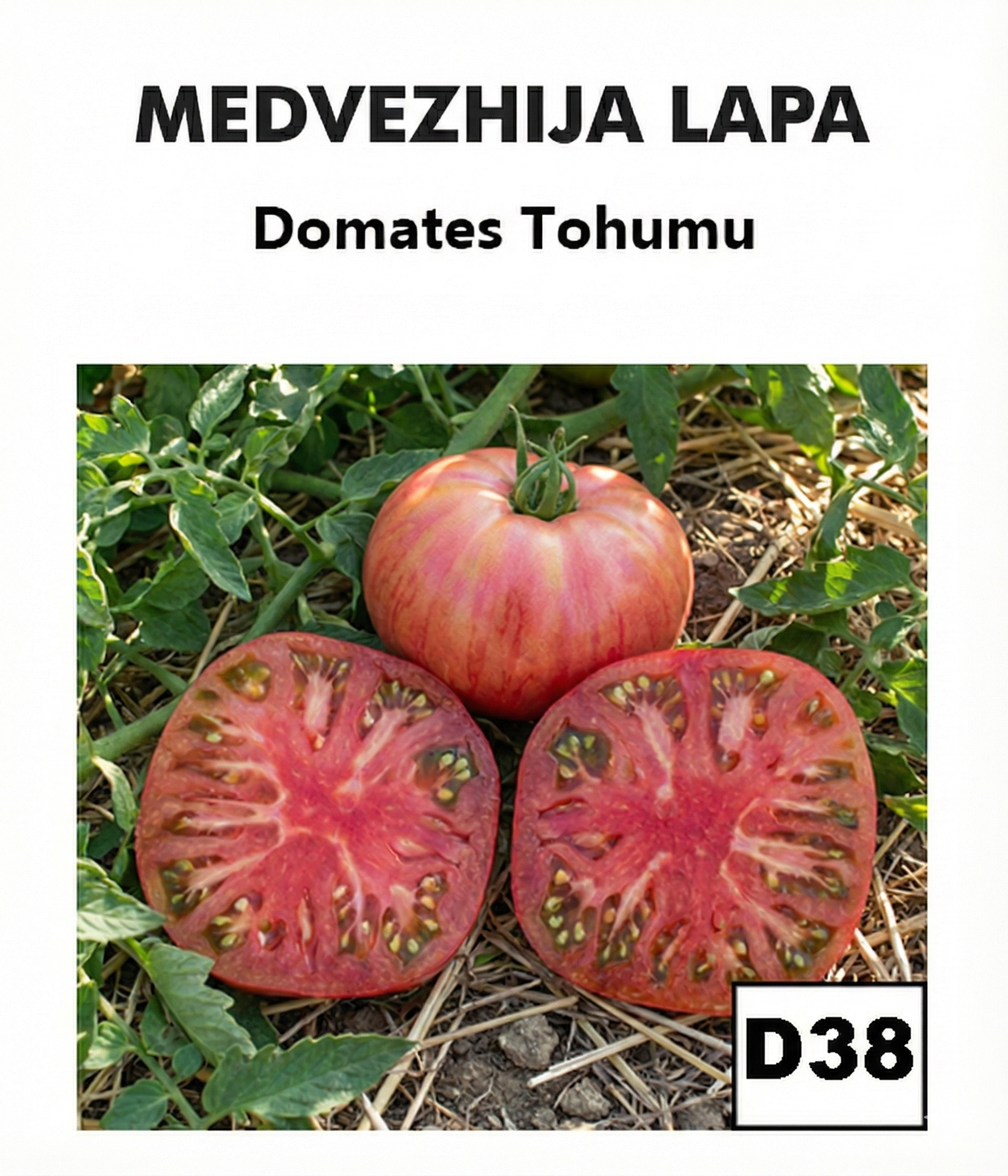 Medvejalehia – Koleksiyon Domatesi - AdaFide