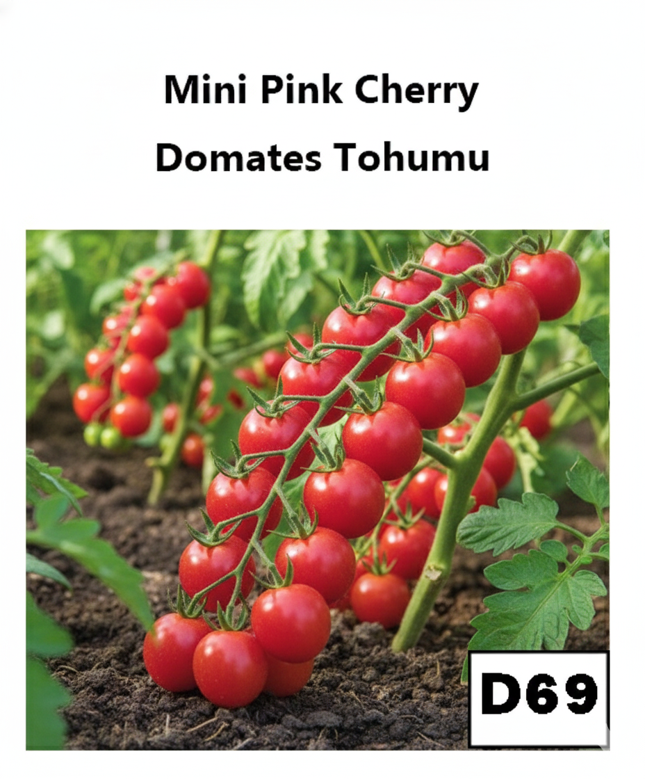 Minik Pembe Çeri Domates - AdaFide