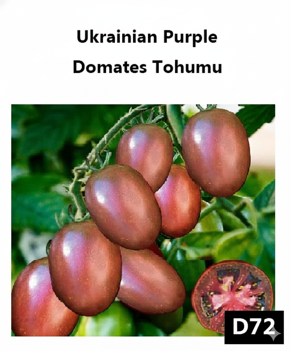Ukrayna Mor Domatesi - AdaFide